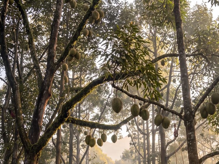 仓储物流中心